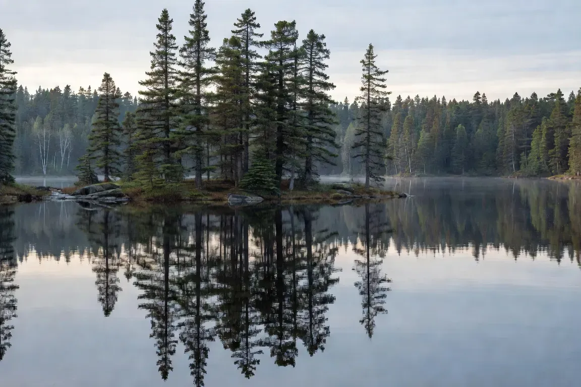 Lac Abitibi et l'immensité de la forêt boréale