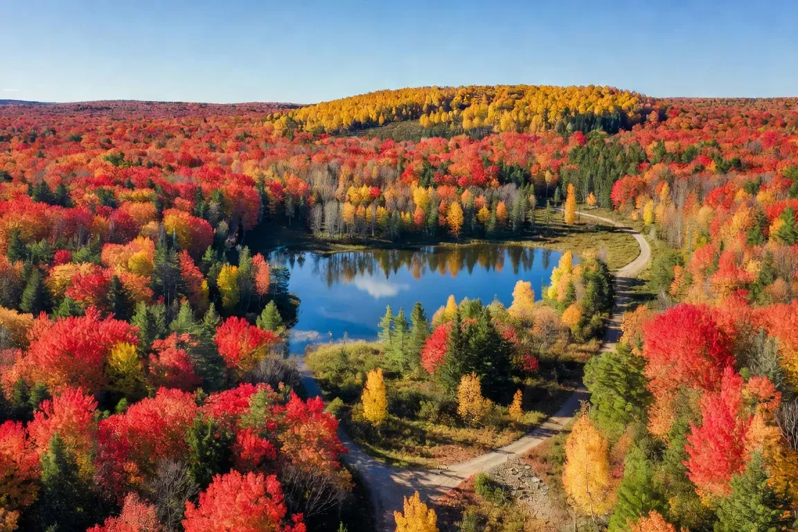 L'automne au Québec : quand partir pour les couleurs du feuillage